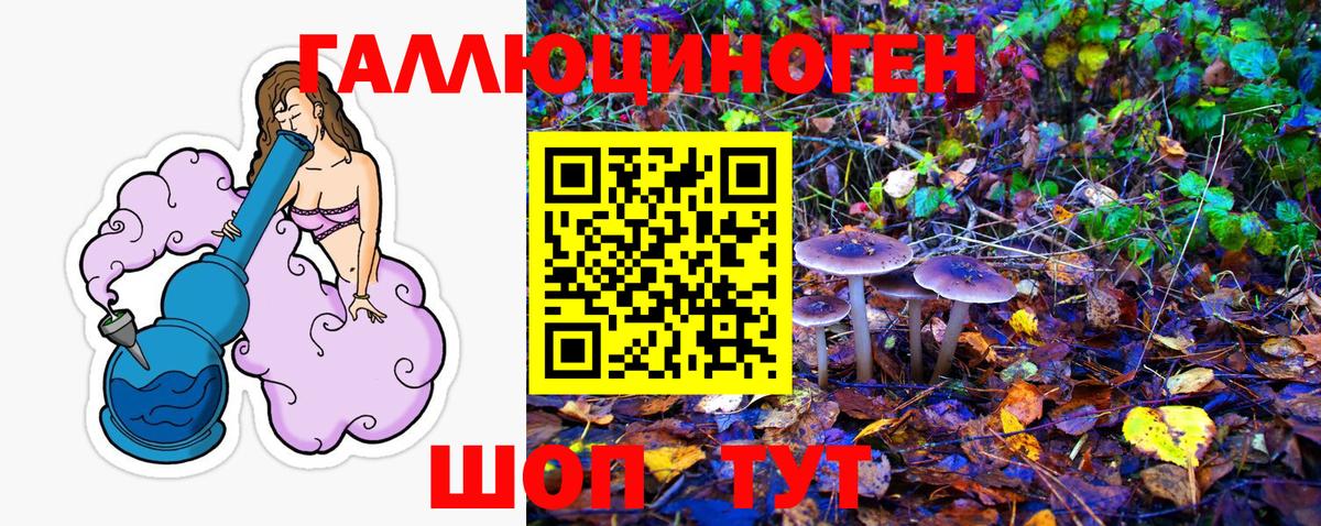 Псилоцибиновые грибы Psilocybine cubensis  Галлюциногенные грибы MAGIC MUSHROOMS  Дальнереченск  Вход с VPN 